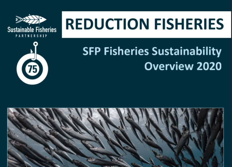 Informe sobre la reducción de la pesca en 2020